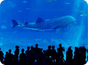 沖縄美ら海水族館