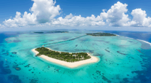 古宇利島20分！🏝️ 沖縄・名護の古民家「かめたろうや」で過ごす特別な休日 ✨